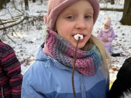 Udział klas 1b i 1c w PROJEKCIE DZIECI LASU 